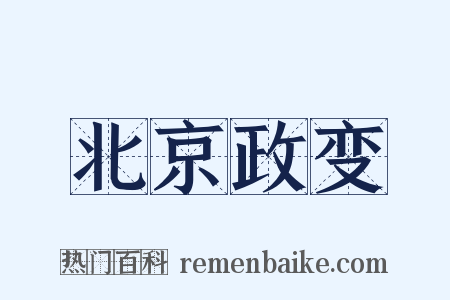 北京政变是什么意思的图片